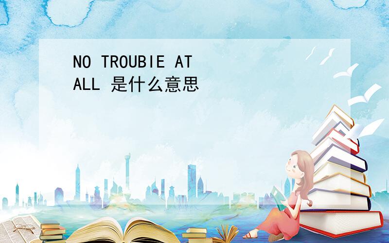 NO TROUBIE AT ALL 是什么意思