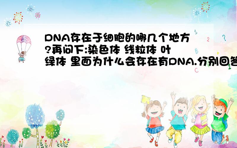 DNA存在于细胞的哪几个地方?再问下:染色体 线粒体 叶绿体 里面为什么会存在有DNA.分别回答!