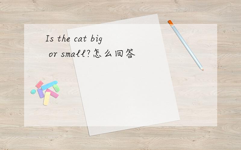 Is the cat big or small?怎么回答