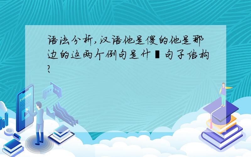 语法分析,汉语他是傻的他是那边的这两个例句是什麽句子结构?