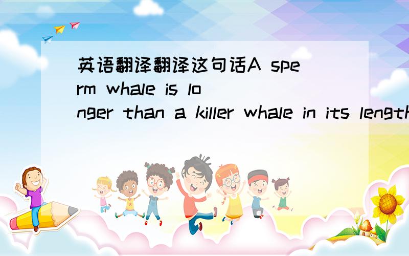 英语翻译翻译这句话A sperm whale is longer than a killer whale in its length.