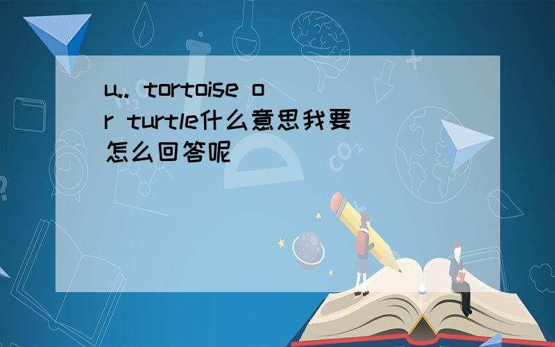 u.. tortoise or turtle什么意思我要怎么回答呢