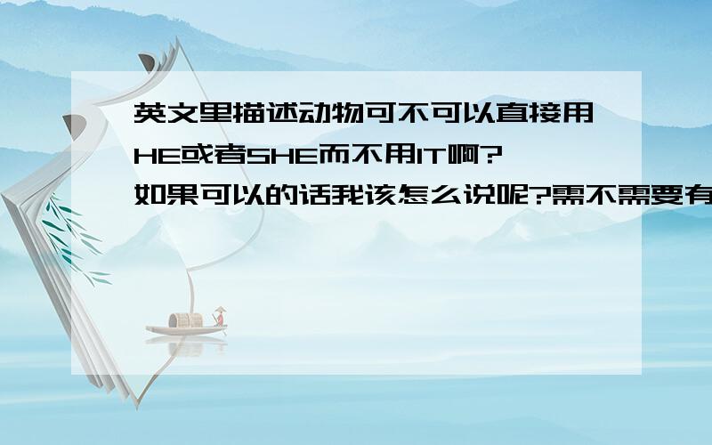 英文里描述动物可不可以直接用HE或者SHE而不用IT啊?如果可以的话我该怎么说呢?需不需要有什么前面的铺垫之类的啊?