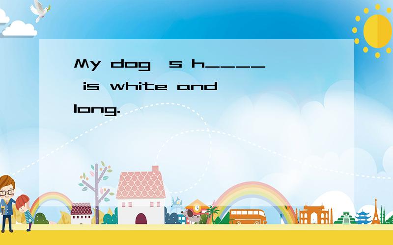 My dog's h____ is white and long.