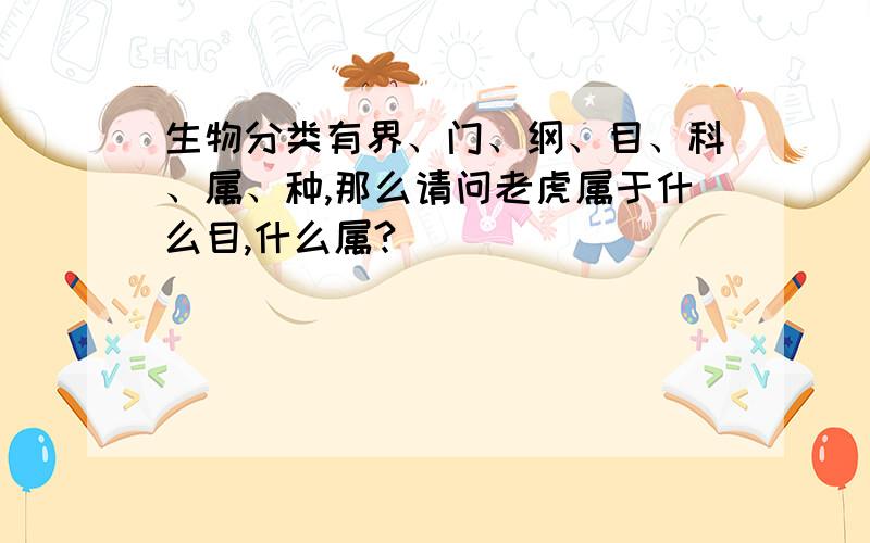 生物分类有界、门、纲、目、科、属、种,那么请问老虎属于什么目,什么属?