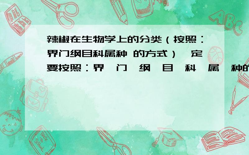 辣椒在生物学上的分类（按照：界门纲目科属种 的方式）一定要按照：界、门、纲、目、科、属、种的方法进行分类