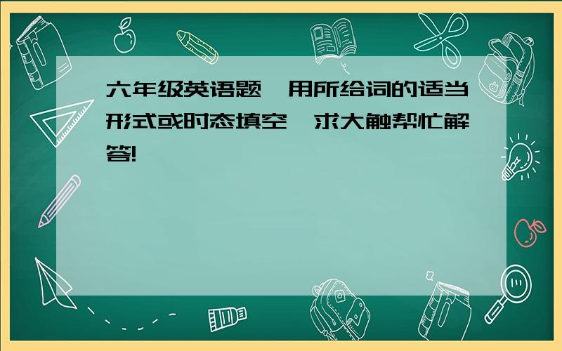 六年级英语题【用所给词的适当形式或时态填空】求大触帮忙解答!