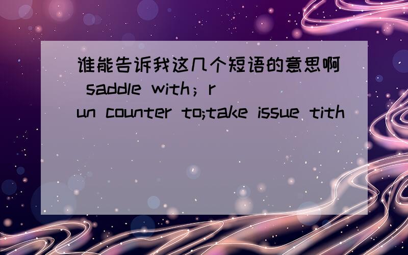 谁能告诉我这几个短语的意思啊 saddle with；run counter to;take issue tith