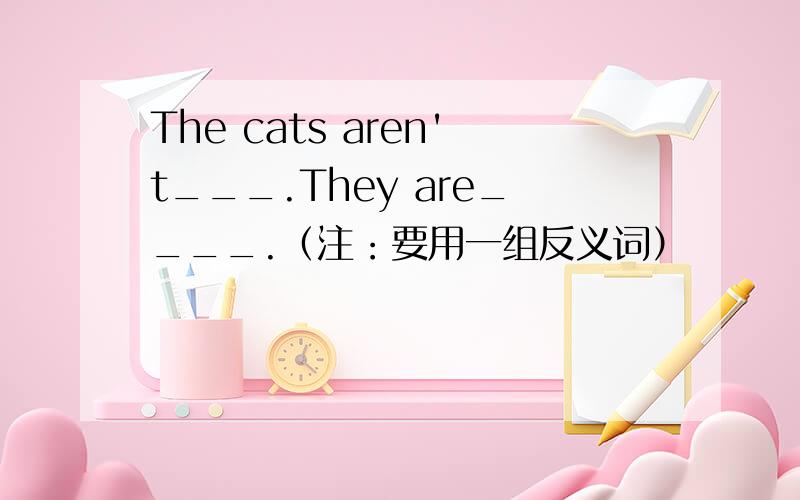 The cats aren't___.They are____.（注：要用一组反义词）