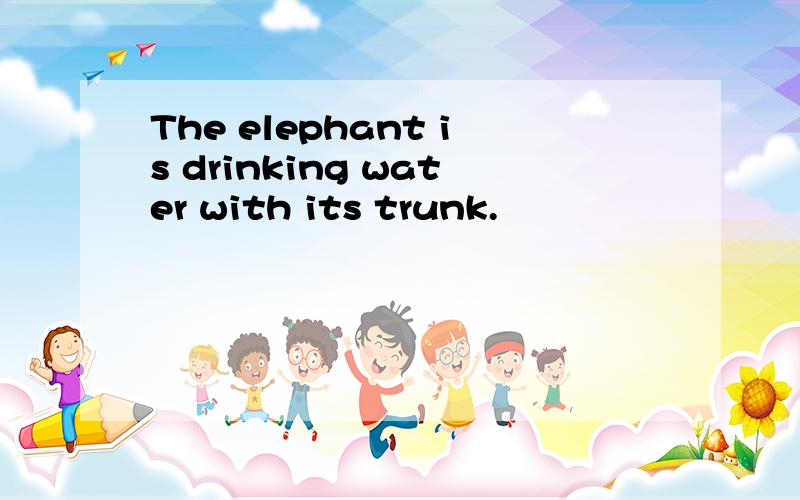 The elephant is drinking water with its trunk.