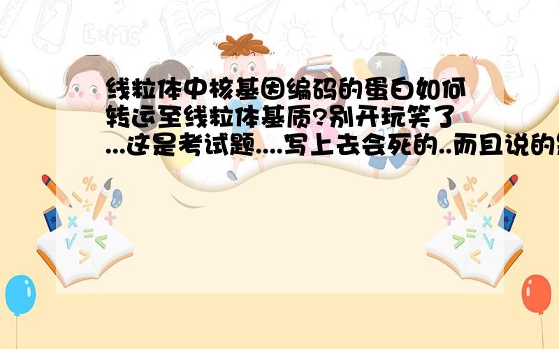 线粒体中核基因编码的蛋白如何转运至线粒体基质?别开玩笑了...这是考试题....写上去会死的..而且说的是 核基因编码的蛋白 是蛋白..