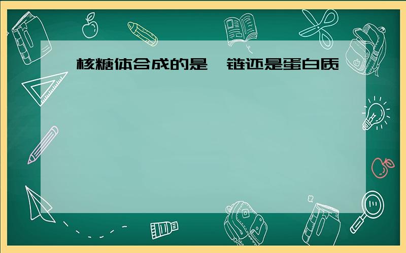 核糖体合成的是肽链还是蛋白质