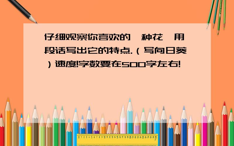 仔细观察你喜欢的一种花,用一段话写出它的特点.（写向日葵）速度!字数要在500字左右!