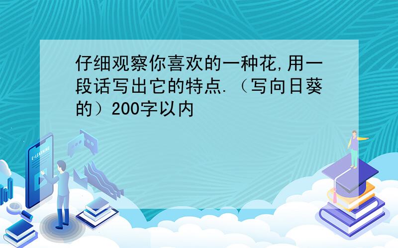 仔细观察你喜欢的一种花,用一段话写出它的特点.（写向日葵的）200字以内