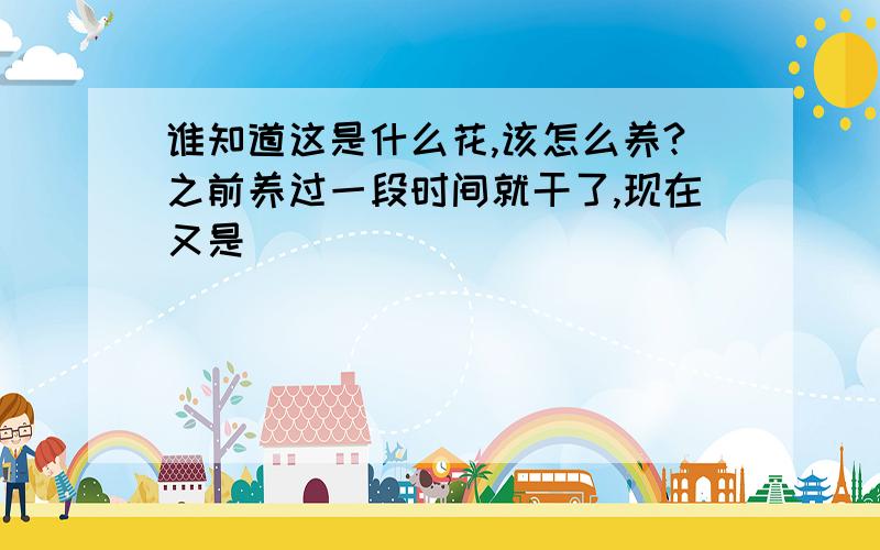 谁知道这是什么花,该怎么养?之前养过一段时间就干了,现在又是