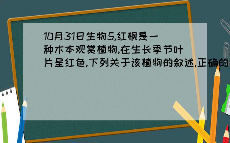 10月31日生物5,红枫是一种木本观赏植物,在生长季节叶片呈红色,下列关于该植物的叙述,正确的是· A.红枫叶片不含叶绿素 B.红枫叶片呈红色是因为吸收了红光C.红枫叶片能吸收光能进行光合作