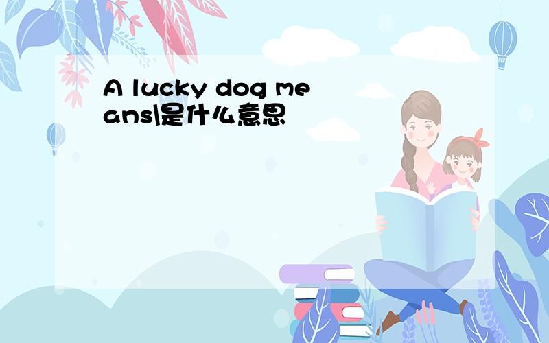 A lucky dog means\是什么意思