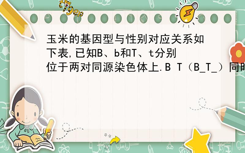 玉米的基因型与性别对应关系如下表,已知B、b和T、t分别位于两对同源染色体上.B T（B_T_）同时存在时为雌雄同株异花,T存在B不存在(bbT_)是为雄株,T不存在时B_tt或bbtt）时为雌株.若BbTt的玉米植