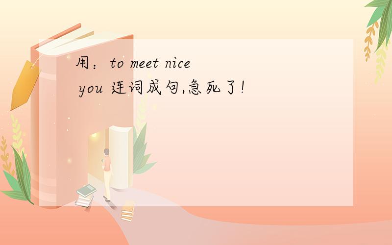 用：to meet nice you 连词成句,急死了!