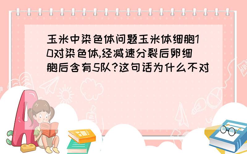 玉米中染色体问题玉米体细胞10对染色体,经减速分裂后卵细胞后含有5队?这句话为什么不对