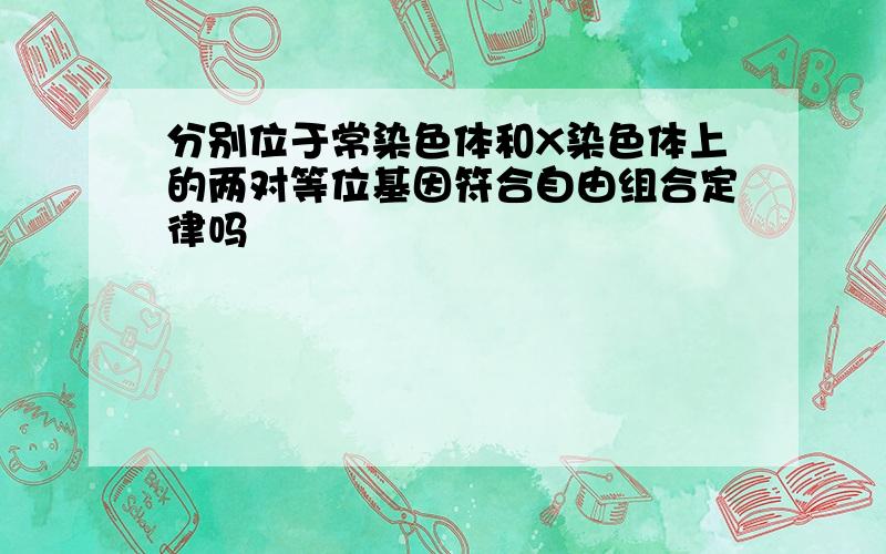 分别位于常染色体和X染色体上的两对等位基因符合自由组合定律吗