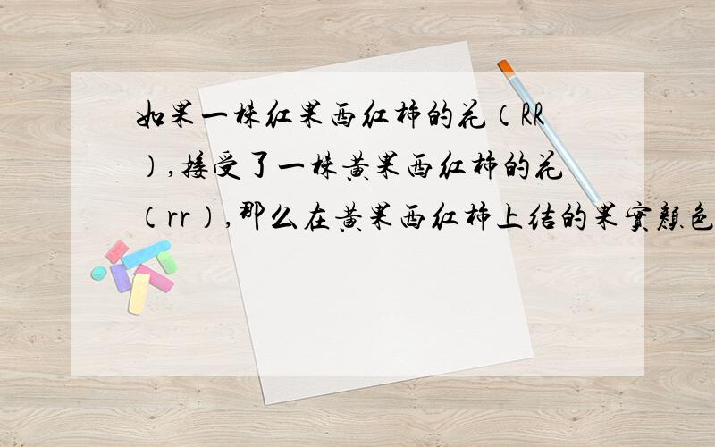 如果一株红果西红柿的花（RR）,接受了一株黄果西红柿的花（rr）,那么在黄果西红柿上结的果实颜色,果皮基因组成分别是A,红色,RR,RrB,黄色,rr,RrC,红黄色,RR,RrD,黄色,rr,rr