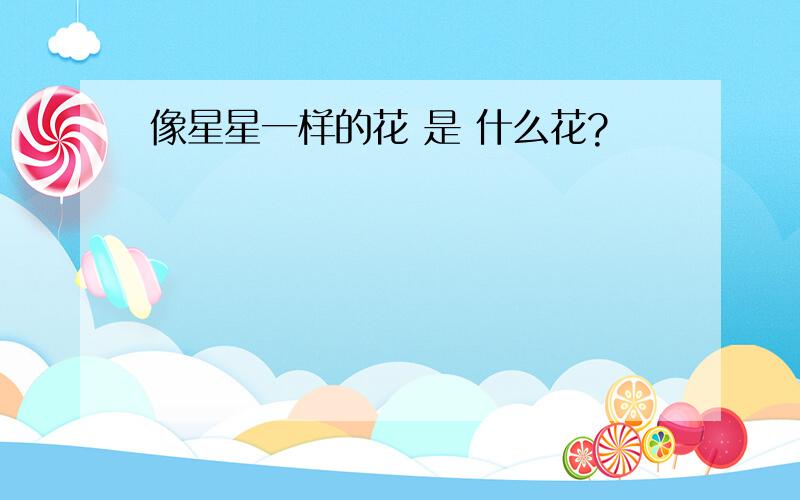 像星星一样的花 是 什么花?