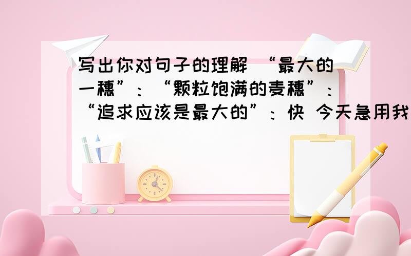 写出你对句子的理解 “最大的一穗”：“颗粒饱满的麦穗”：“追求应该是最大的”：快 今天急用我去吃饭马上回来TUT