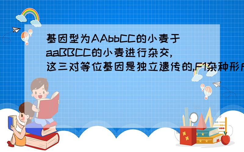 基因型为AAbbCC的小麦于aaBBCC的小麦进行杂交,这三对等位基因是独立遗传的,F1杂种形成的配子种类数是：A.4B.5C.6D.8