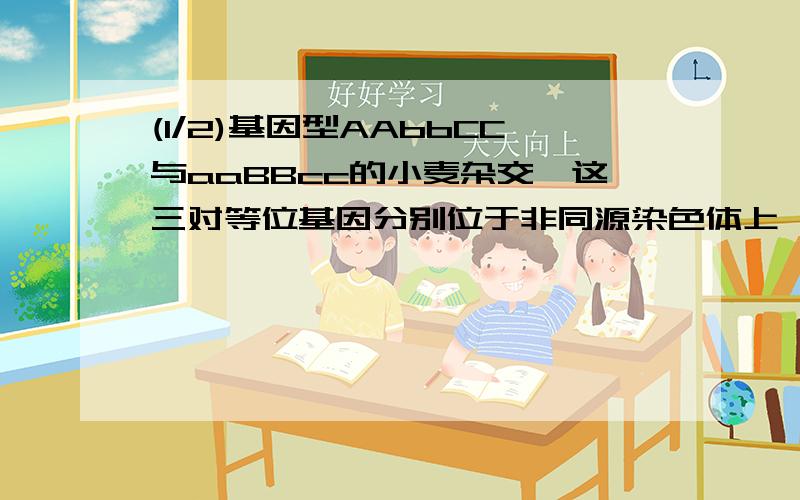 (1/2)基因型AAbbCC与aaBBcc的小麦杂交,这三对等位基因分别位于非同源染色体上,子一代杂种形式的配子...(1/2)基因型AAbbCC与aaBBcc的小麦杂交,这三对等位基因分别位于非同源染色体上,子一代杂种