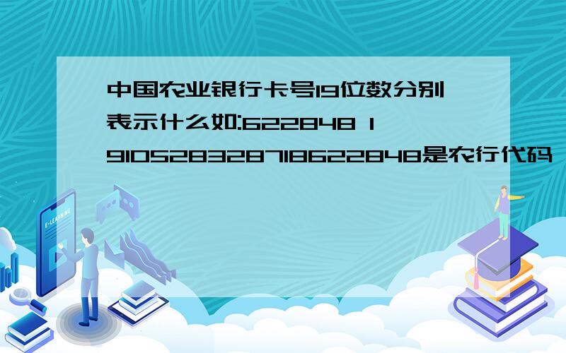 中国农业银行卡号19位数分别表示什么如:622848 1910528328718622848是农行代码,1910是城市代码,那后面的数字是什么意思