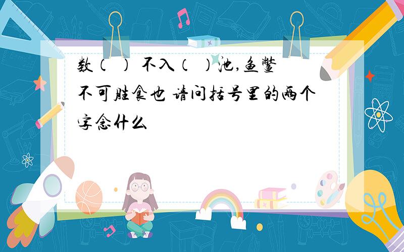 数（ ） 不入（ ）池,鱼鳖不可胜食也 请问括号里的两个字念什么