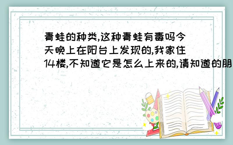 青蛙的种类,这种青蛙有毒吗今天晚上在阳台上发现的,我家住14楼,不知道它是怎么上来的,请知道的朋友告诉我：1.它的种类；2.它是否有毒；3.是否适合放养在我家的假山里（在另外的地方）4