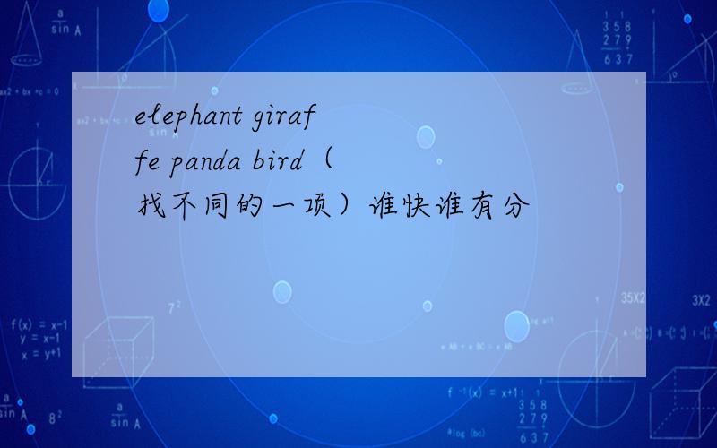 elephant giraffe panda bird（找不同的一项）谁快谁有分