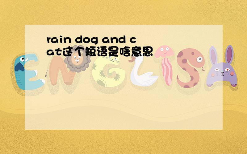 rain dog and cat这个短语是啥意思