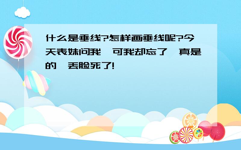 什么是垂线?怎样画垂线呢?今天表妹问我,可我却忘了,真是的,丢脸死了!