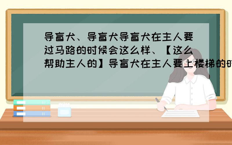 导盲犬、导盲犬导盲犬在主人要过马路的时候会这么样、【这么帮助主人的】导盲犬在主人要上楼梯的时候会这么样、有车子的时候会这么样、下车时、导盲犬会这么样、【反正就是导盲犬