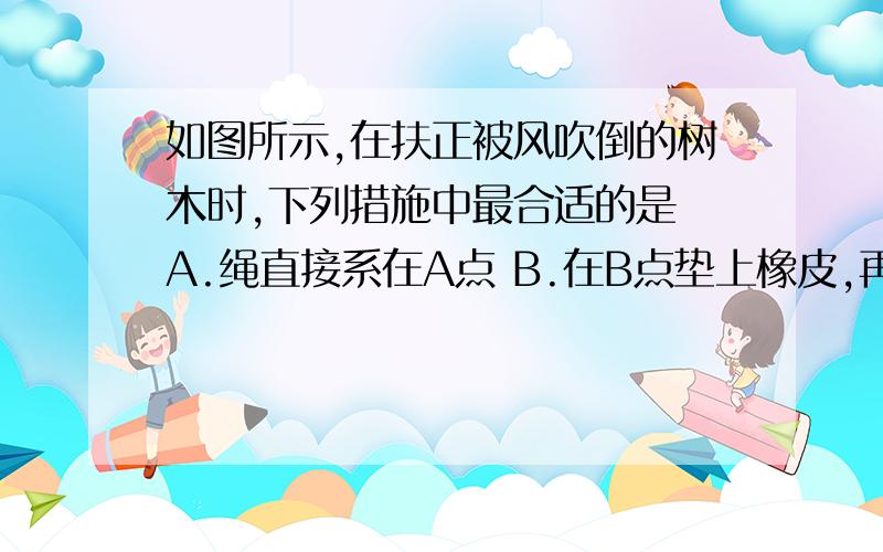 如图所示,在扶正被风吹倒的树木时,下列措施中最合适的是 A.绳直接系在A点 B.在B点垫上橡皮,再系上绳C.在A点垫上橡皮,再系上绳 D.绳直接系在B点