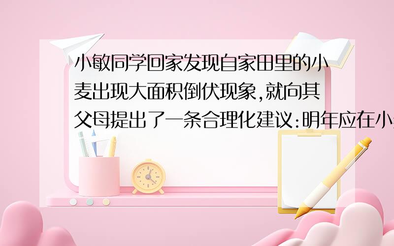 小敏同学回家发现自家田里的小麦出现大面积倒伏现象,就向其父母提出了一条合理化建议:明年应在小麦生长期增施抗倒伏的化肥.你认为增施的化肥是().A.NH4NO3 B.CO(NH2)2 C.Ca(H2PO4)2 D.KCl