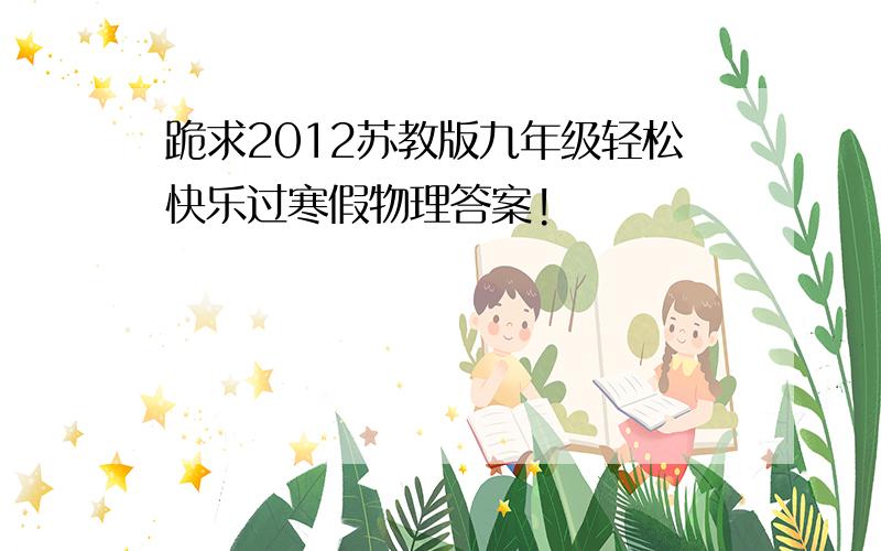 跪求2012苏教版九年级轻松快乐过寒假物理答案!