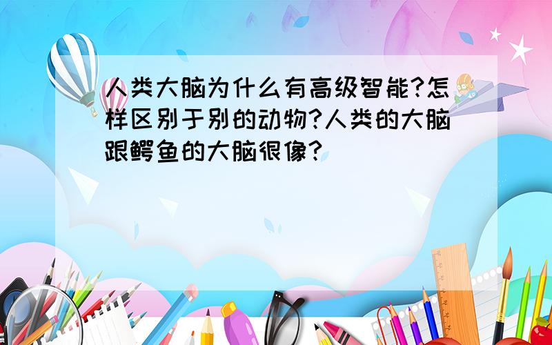 人类大脑为什么有高级智能?怎样区别于别的动物?人类的大脑跟鳄鱼的大脑很像?