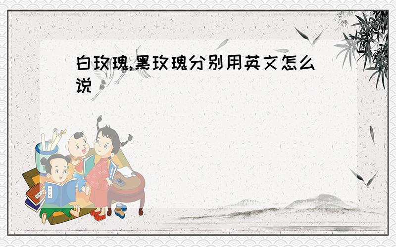 白玫瑰,黑玫瑰分别用英文怎么说