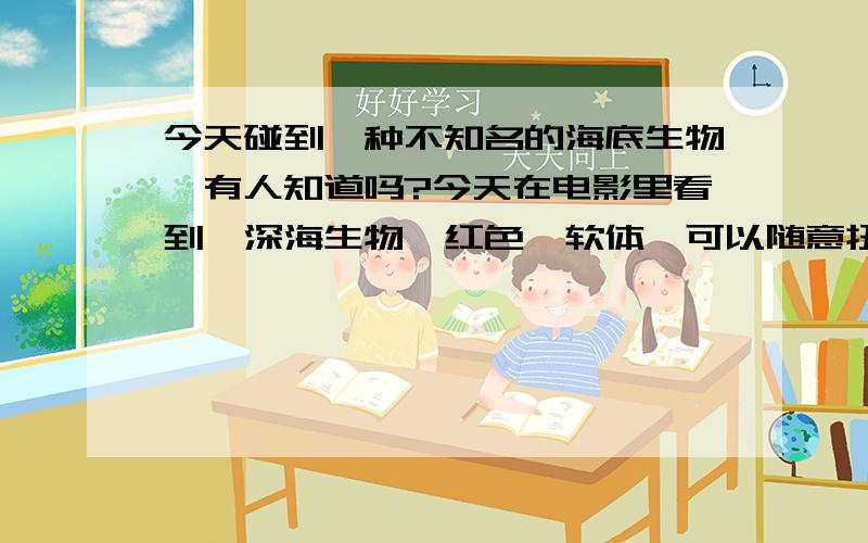 今天碰到一种不知名的海底生物,有人知道吗?今天在电影里看到一深海生物,红色,软体,可以随意扭曲身体,体长大概10到20cm,捕食还得的树状水草,惧怕红色的海星.有人知道是什么生物吗,哥伦比