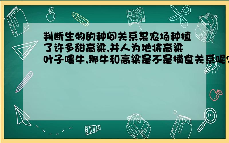 判断生物的种间关系某农场种植了许多甜高粱,并人为地将高粱叶子喂牛,那牛和高粱是不是捕食关系呢?如果不是,那是什么呢?