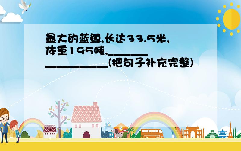 最大的蓝鲸,长达33.5米,体重195吨,__________________(把句子补充完整)