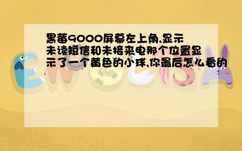 黑莓9000屏幕左上角,显示未读短信和未接来电那个位置显示了一个黄色的小球,你最后怎么看的