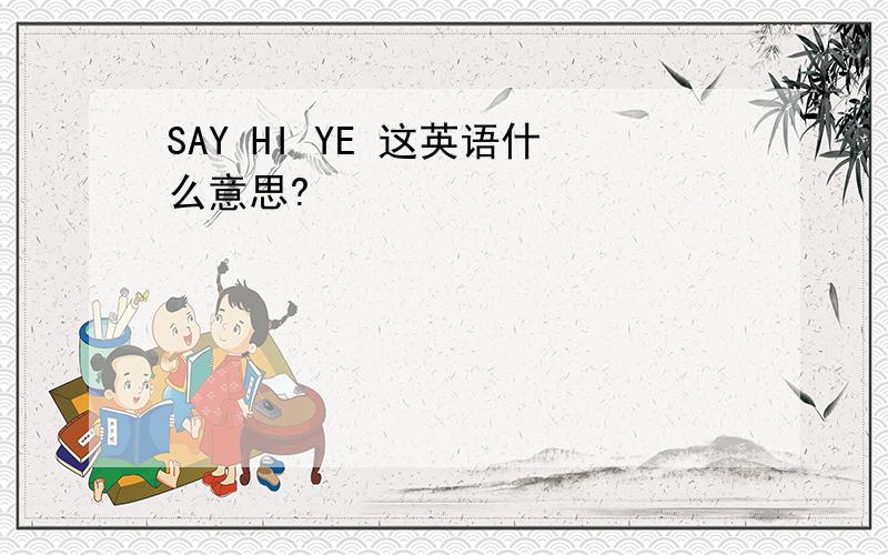 SAY HI YE 这英语什么意思?