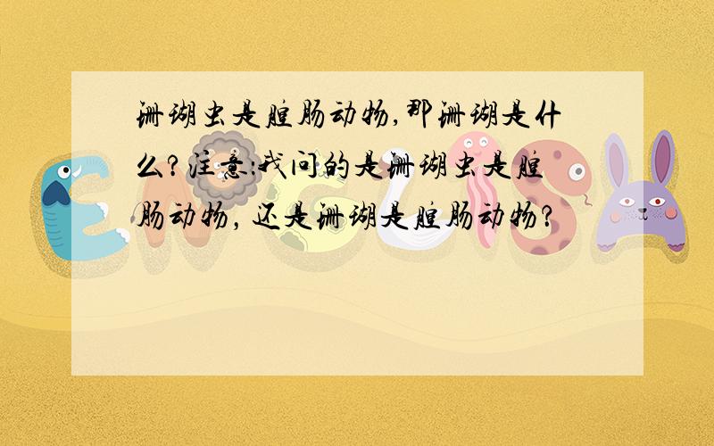 珊瑚虫是腔肠动物,那珊瑚是什么?注意：我问的是珊瑚虫是腔肠动物，还是珊瑚是腔肠动物？