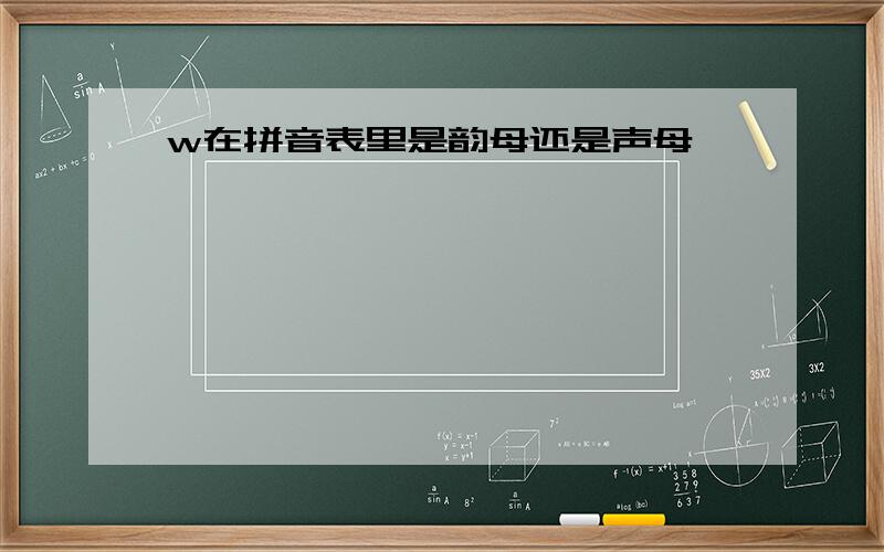 w在拼音表里是韵母还是声母