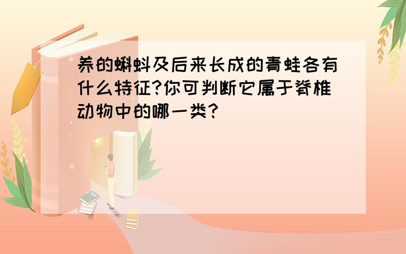 养的蝌蚪及后来长成的青蛙各有什么特征?你可判断它属于脊椎动物中的哪一类?